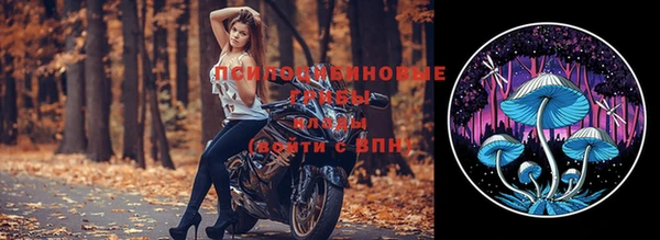 не бодяженный Абаза